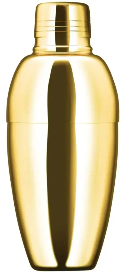 Barprofessional Cobbler Shaker