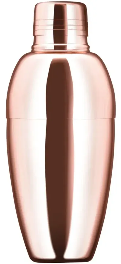 Barprofessional Cobbler Shaker 500 ml