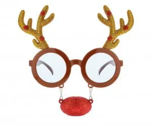 Briller Med Rennäsa Och Horn