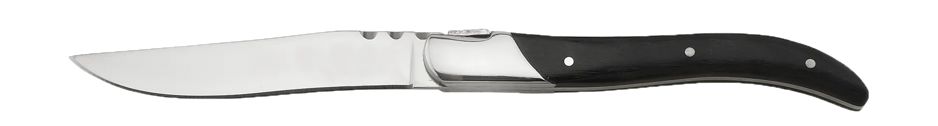 Laguiole Steakknive Svart 6 St