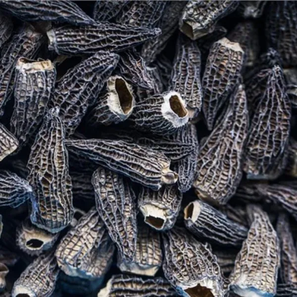 Morklar Torkade Giga 8 Cm Gourmetgrossist 200g