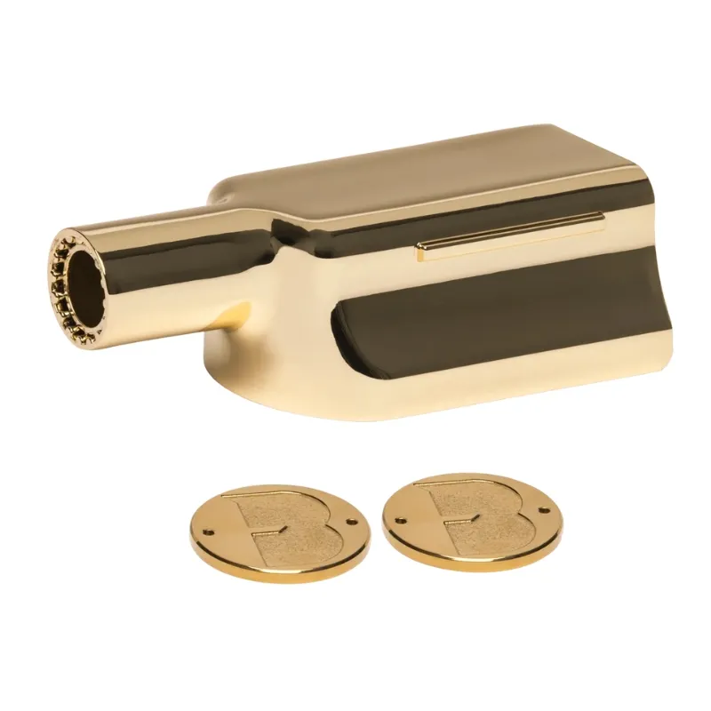 Smakspruta Munstycke i Guld