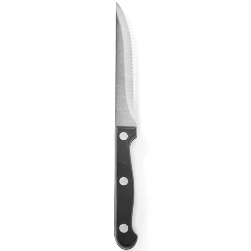 Steak Knive 6 Stk